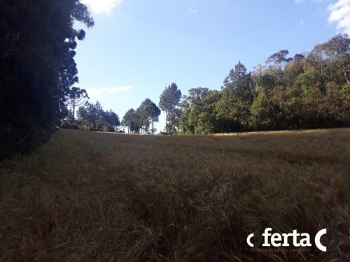 Imagem 8 de 14 de Chacara - Tiete - Ref: 573 - V-573