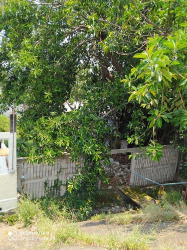 Imagen 7 de 7 de Terreno En Venta De Oportunidad