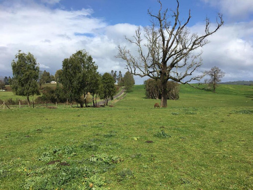 Hermosa Parcela En Rapaco Sector Los Canales La Union