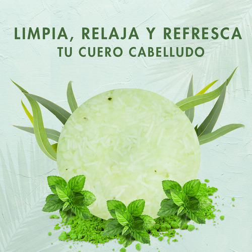 Shampoo Sólido Refrescante Orgánico De Eucalipto Y Menta