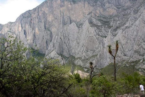 Imagen 4 de 18 de Terreno En Venta En La Huasteca Km 8.5