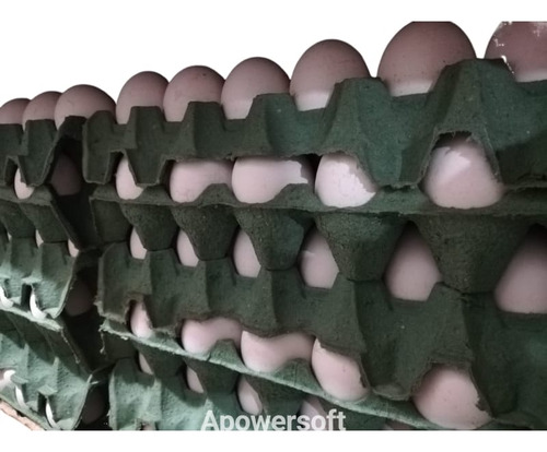 Venta De Huevos De Gallina