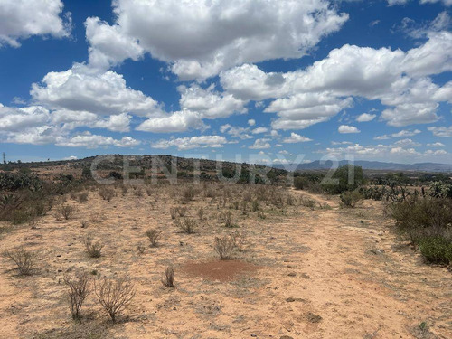 Terreno En Venta En La Colorada, Rancho El Xoconostle, Villa De Zaragoza.