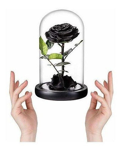 Rosa Preservada Rosas Negras Flor Preservada Hecha A Mano Ro | Envío gratis