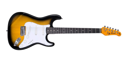 Guitarra Eléctrica Jay Turser Stratocaster Jt-300