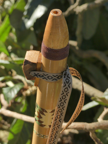 Flauta Nativa Americana De Caña Tacuara En D 288hz Marrón Claro