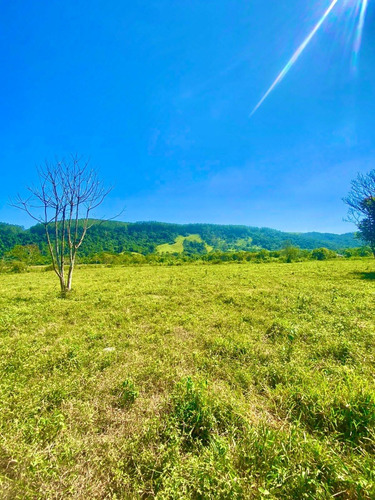 Imagem 4 de 5 de W30-lotes Para Construção De Sítios