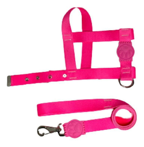 Coleira Peitoral Neon Para Cães Tradicional 25mm - Rosa Nº4