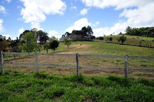 Imagem 15 de 30 de Haras A Venda Estado De Sao Paulo Cidade Piedade ( 4132 )