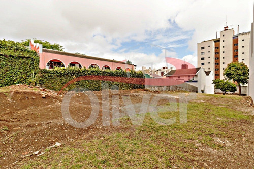 Imagem 6 de 20 de Terreno Na Rua Ulisses Vieira 696, Portão, Curitiba, Paraná - Te00034 - 33492777