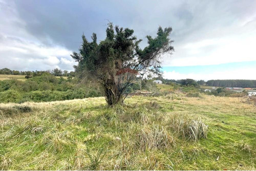 Parcela 5.000 Mts2 - Faro Corona - Chiloé