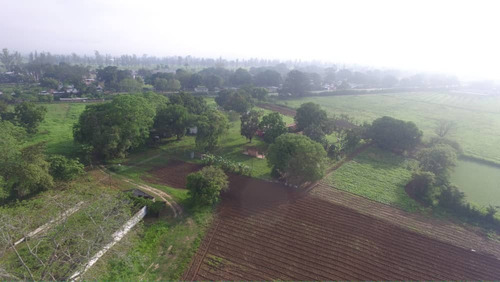 Bejuma Sabaneta Carabobo