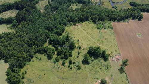 Campo En Venta En Cañitas, Los Muermos, Región De Los Lagos