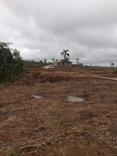 Imagem 22 de 30 de 01- Terrenos Com Aguá A 1 Hora Da Capital Com Moradores Construindo No Local !