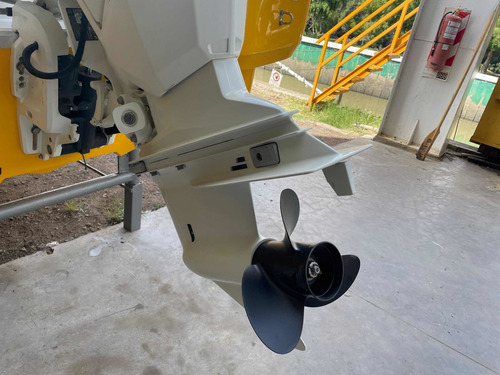 Imagen 8 de 11 de Arco Iris Fishing 6.0 Evinruder Etec 115hp Ecologico 2022