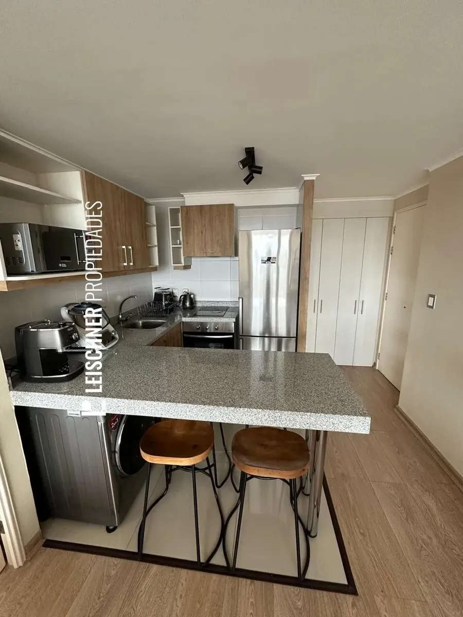 Imagen 4 de 9 de Arriendo Depto Amoblado Con Vista Privilegiada Osorno