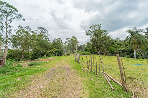 Imagem 23 de 30 de Sitio Rural - Praia Paulistanas - Reo639076