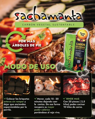 Imagen 2 de 2 de Carbón Econologico Sustentable