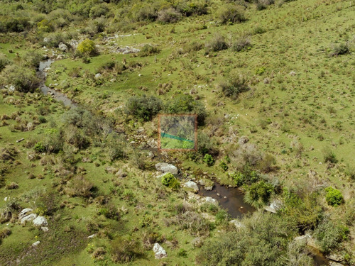 Imagen 4 de 28 de Campo 180 Hás En Altos De Carapé