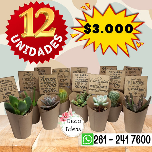 Souvenirs Cactus Y Suculentas X 12 Unidades