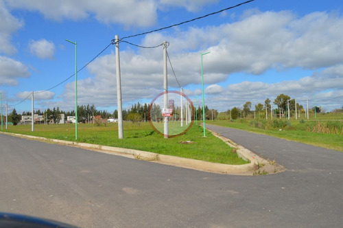 Imagen 5 de 10 de Terreno Lote En Venta Ubicado En Joaquín Gorina, La Plata