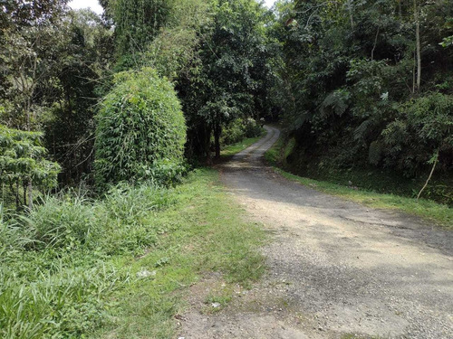 Imagem 9 de 12 de Terreno Em Miracatu-sp Medindo 8 Alqueires Com Cachoeira