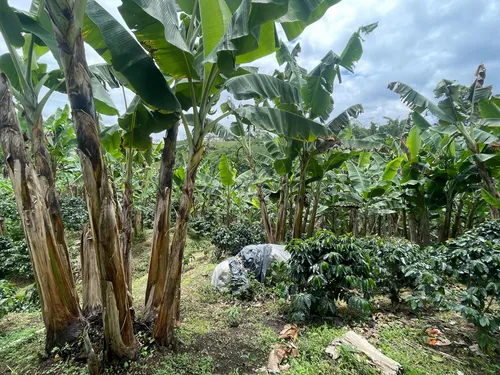 Vendo Lote Frente A Variante Condina/pereira
