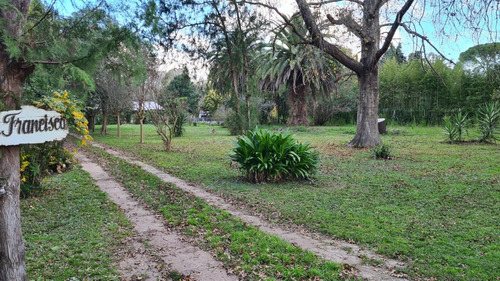 Casa Quinta  En Venta En Benavidez, Tigre, G.b.a. Zona Norte