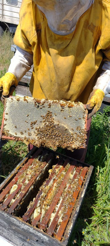 Miel Pura 100% Solida De 1kg Ventas Por Mayor Y Menor.