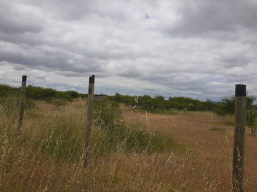 Se Vende Sitio Cauquenes