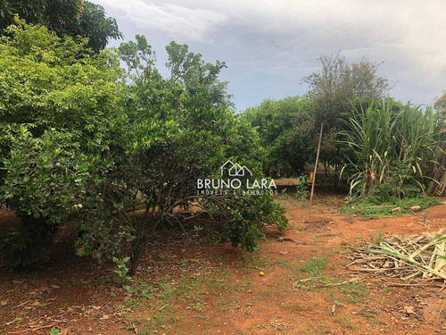 Imagem 29 de 30 de Sítio À Venda Em Igarapé Bairro Fernão Dias - Si0058