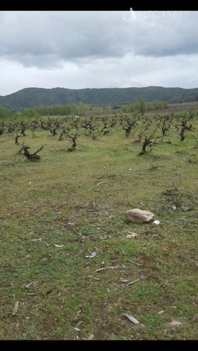 Sitio En Venta En San Javier
