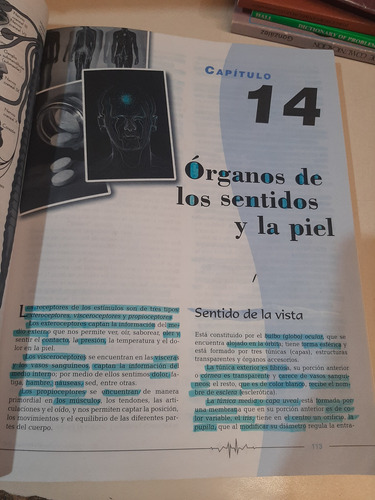Ciencias De La Salud (pasta Blanda) - Bertha Higashida H. (Usado)