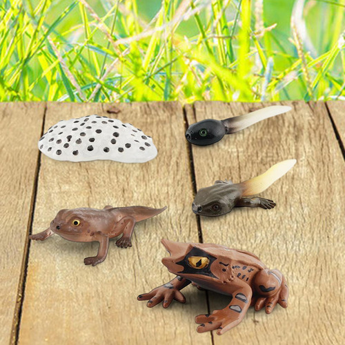 3 Figuritas De Animales Realistas Modelo De De Ranas Estilo