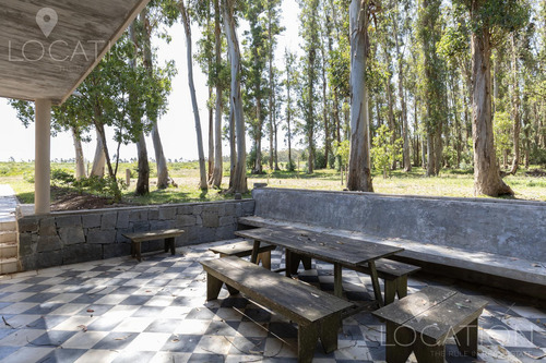 Venta Campo Con Casa 164 Hectáreas, 8 Dormitorios, Ruta 104