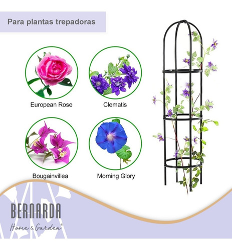 Imagen 4 de 9 de Tutor Para Plantas Huertas Jardín Trepadoras Hierro Pack X 2