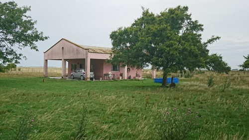 Imagen 4 de 11 de Venta Campo Ganadero Magdalena-pcia De Buenos Aires