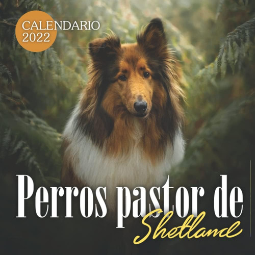 Libro: Perros Pastor De Shetland Calendario 2022: Calendario
