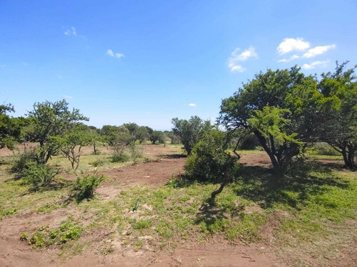 Imagen 11 de 14 de Preventa De Lotes De 1000m2 Y 1250m2 En San Luis
