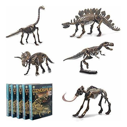 Conjunto De 5 Rompecabezas De Esqueleto De Dinosaurio Di