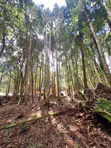 Vendo Parcelas Sector Altos De Polincay Puerto Montt