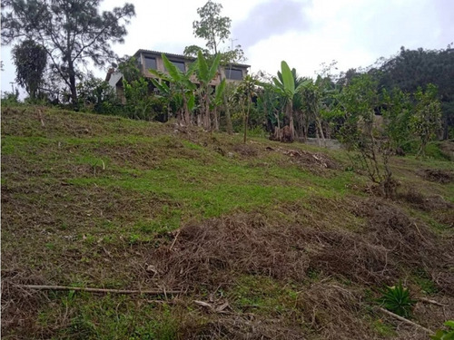 Vendo Terrreno 780m2 Hoyo De La Puerta 2908