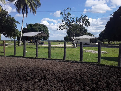 Imagen 11 de 14 de Finca En Venta - El Manteco, Estado Bolivar Fl