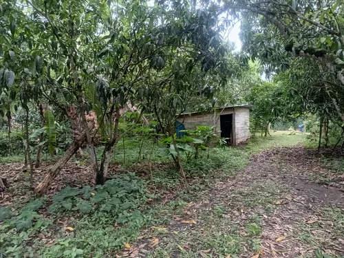 Finca De Descanso