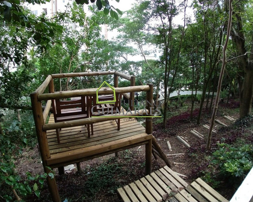 Imagem 27 de 30 de Apartamento Finamente Decorado, Pronto Pra Você Morar, Á Venda, Bairro João Paulo, Florianópolis Sc - Ap00565 - 68112799