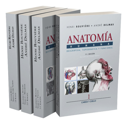 Anatomía Humana De Rouviere 11 Edición Usado 