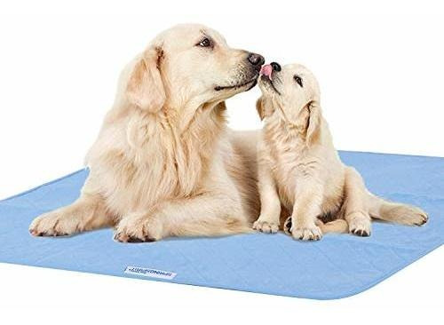 Cubre Camas Springspirit Color Blanco Y Azul Impermeable