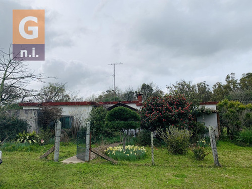 Chacra En Venta Ruta 9 Pan De Azúcar