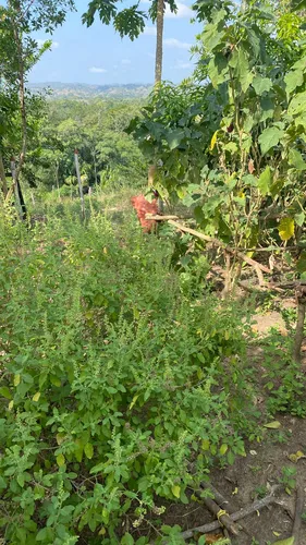Finca En Venta En Salitral