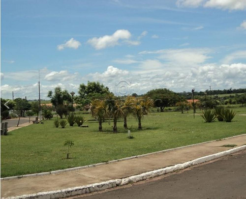Imagem 3 de 10 de Terrenos - Ref: V16905